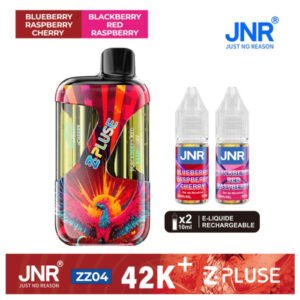 Puff JNR ZPluse 42K+ Blueberry Raspberry 2 saveurs